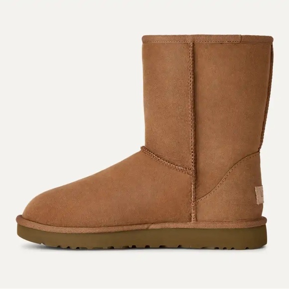 NIB UGG Women’s Classic Short II - Chestnut - Picture 4 of 13